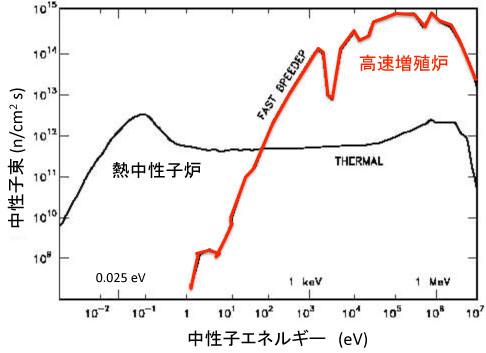 Neutron Spectra